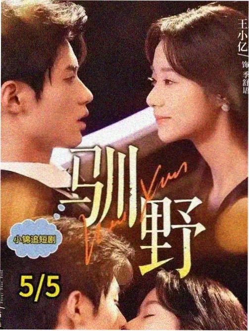 城南旧巷 都市生活剧全集
